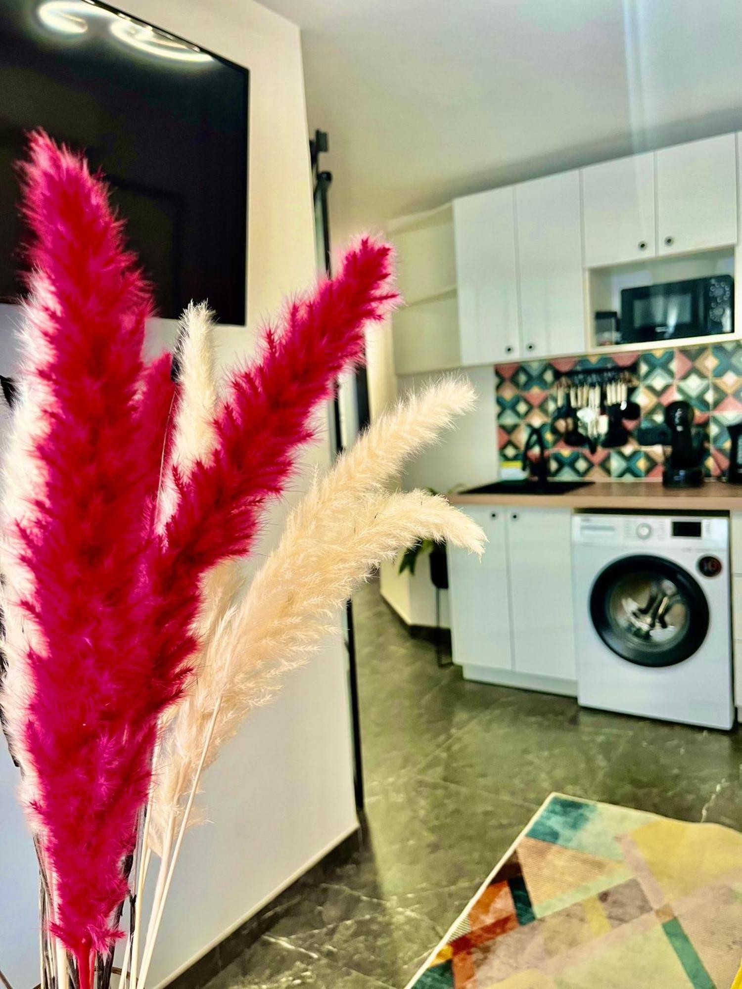 Arte Apartamento Dos Colores 알리칸테 외부 사진